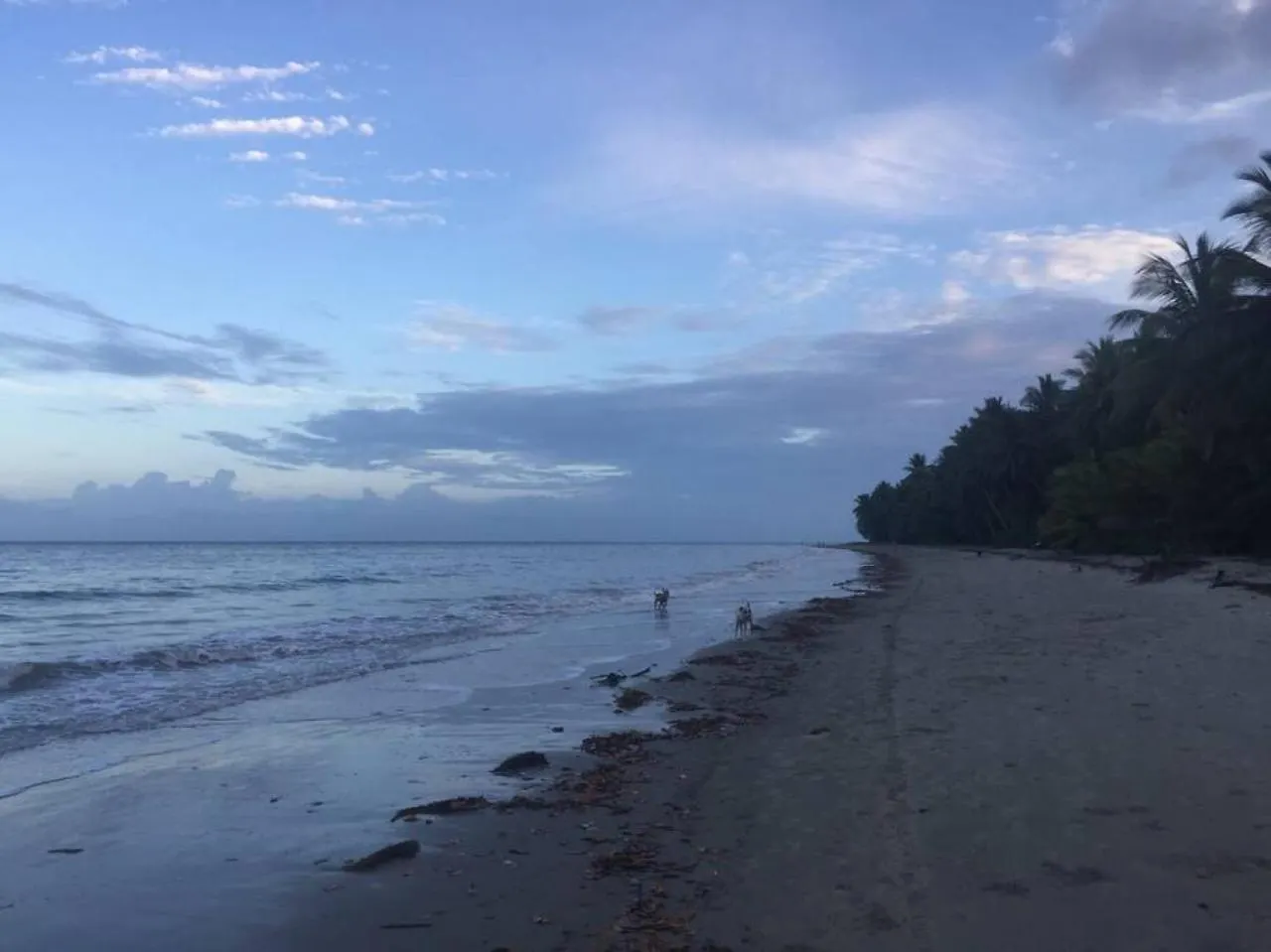 Holiday home Six Beachside With Tropical Heated Pool Port Douglas